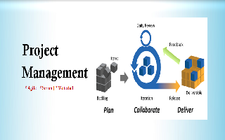projectmanagement solutions